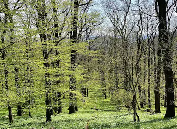 Stauweiher