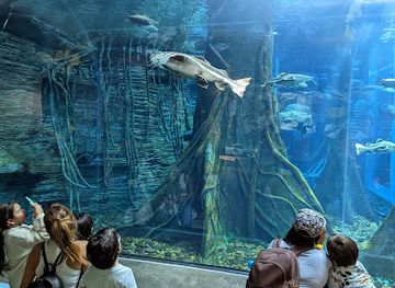 colombia/orinoquia/landmark/aquarium-medellin