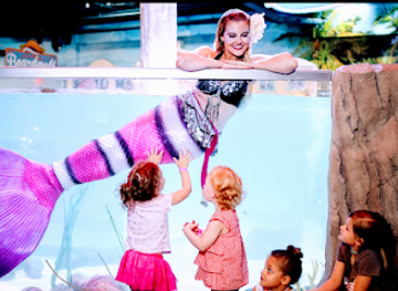 utah/tooele-valley/landmark/seaquest-utah