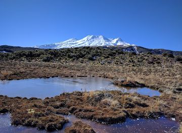new-zealand/tongariro-national-park/landmark/waitonga-falls-walk-trailhead