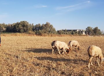 israel/southern-district/landmark/kfar-darom-old
