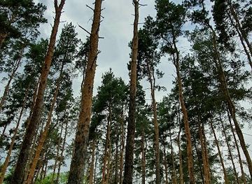 kazakhstan/northern-kazakhstan/landmark/ekspozitsiya-kazakhstan