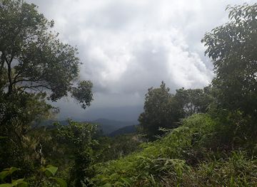 jamaica/santa-cruz-mountains/landmark/saint-william-grant-park