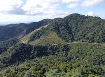 puerto-rico/south-region/landmark/palito-de-ponce