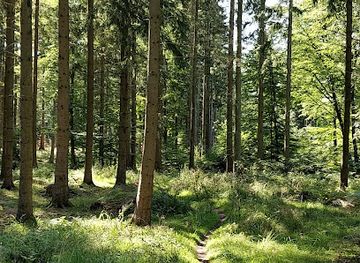 denmark/zealand/landmark/parforcejagtlandskabet-i-store-dyrehave-unesco-world-heritage