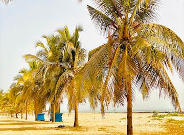 the-gambia/foni-brefet/landmark/cape-point-beach