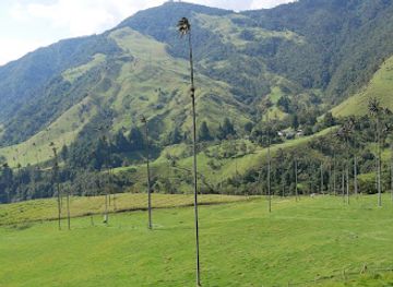 colombia/cocora-valley/landmark/cocora-xtreme