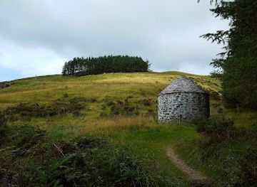 united-kingdom/cardiganshire/attraction/silver-mountain-experience-2