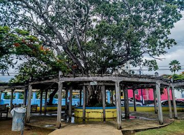barbados/saint-peter/landmark/speightstown-pier