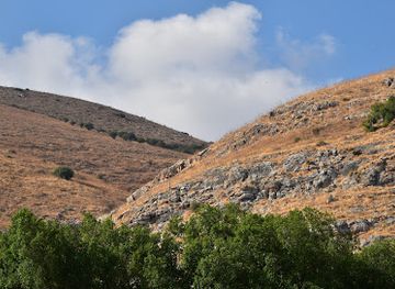 israel/jezreel-valley/landmark/beit-alfa-synagogue