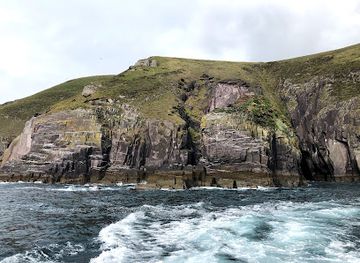 ireland/slea-head-drive/landmark/fungie-the-dingle-dolphin