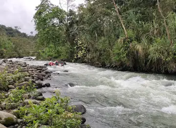 Mindoxtrem birds Operador turistico