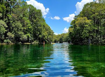 florida/juniper-springs-recreation-area/landmark/kp-hole-park