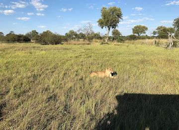 botswana/kalahari-desert/landmark/moremi-game-reserve