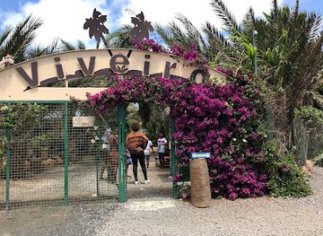 cabo-verde/assomada/landmark/pachamama-eco-park-viveiro-botanical-garden