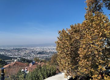 turkiye/bursa/nilufer/landmark/inkaya-historical-plane-tree