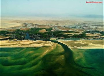 djibouti/godoria-mangrove/landmark/godorya