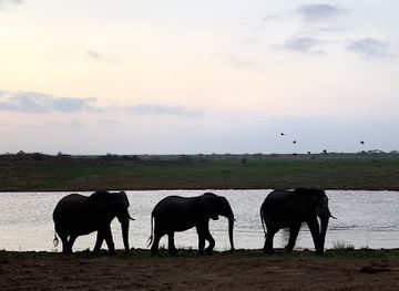 south-africa/elephant-coast/landmark/andbeyond-phinda-private-game-reserve