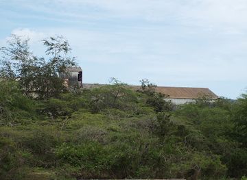 puerto-rico/guanica/landmark/central-guanica