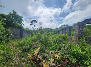tanzania/coastal-zone/landmark/sinda-island
