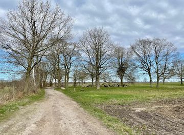 netherlands/drenthe/landmark/geopark-de-hondsrug