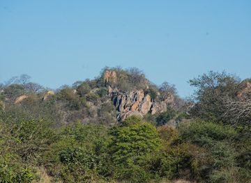 zimbabwe/manicaland/landmark/save-valley-conservancy
