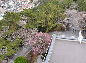south-korea/honam-region/landmark/jehwangsan-park