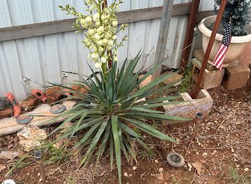 oklahoma/central-oklahoma/landmark/oklahoma-city-discovery-well