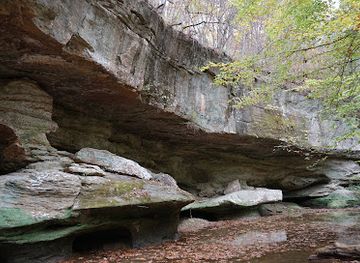 illinois/illinois-ozarks/landmark/piney-creek-ravine-nature-preserve