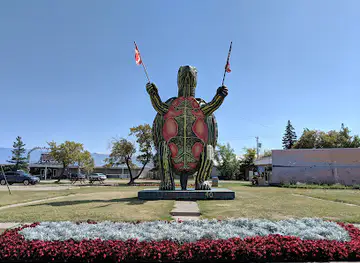 Tommy Turtle
