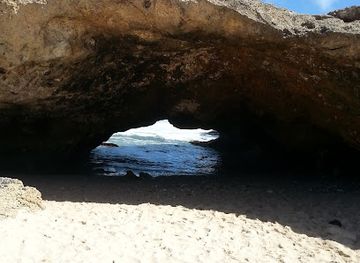 aruba/natural-pool/landmark/aruba-ostrich-farm