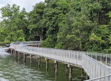 singapore/pulau-ubin/landmark/chek-jawa-boardwalk
