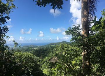 barbados/saint-lucy/landmark/coco-hill-forest