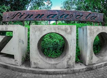 sri-lanka/sabaragamuwa-province/landmark/pinnawala-zoo