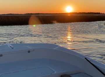 south-carolina/edisto-island/landmark/herring-gull-charters