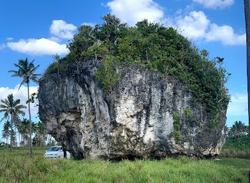 tonga/kao-island/landmark/tsunami-rock