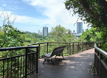 singapore/southern-ridges/landmark/kent-ridge-park