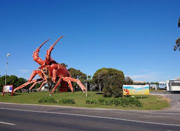 australia/great-southern/landmark/the-big-lobster