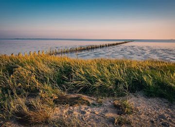 denmark/wadden-sea-national-park/landmark/romodamningen