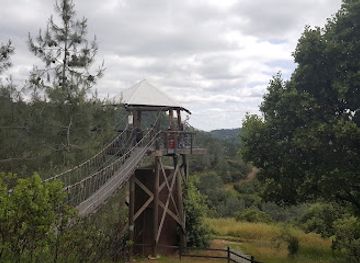 california/gold-country/landmark/moaning-caverns-adventure-park