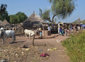 the-gambia/niamina-dankunku/landmark/tour-gambia