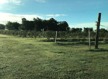oklahoma/broken-arrow/landmark/thunderbird-berry-farm