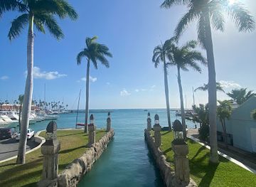 aruba/mangel-halto/landmark/bridge-best-place-for-cruise-photos