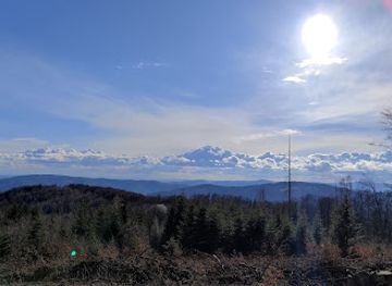 slovakia/muranska-planina-national-park/landmark/trstie