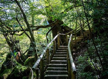 japan/yakushima/landmark/yakushima-geographic-tour