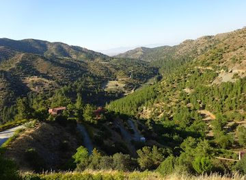 cyprus/paphos-forest/landmark/national-forest-park-of-machairas