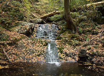 pennsylvania/anthracite-coal-region/landmark/pahaquarry-copper-mines-trail
