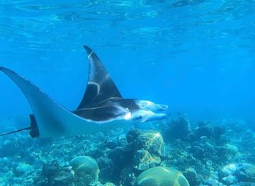 maldives/thoddoo-island/landmark/thoddoo-diving-and-excursions