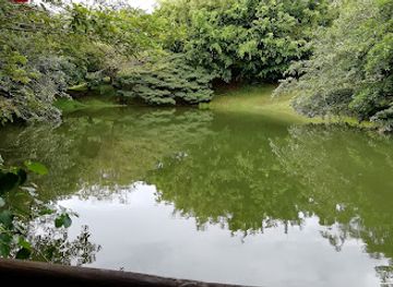 costa-rica/tilaran-range/landmark/sea-salt-sea-food-restaurant-and-bar