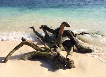 grenada/saint-patrick/landmark/sandy-island